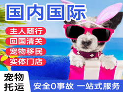 大连航空运输国际宠物托运 【国